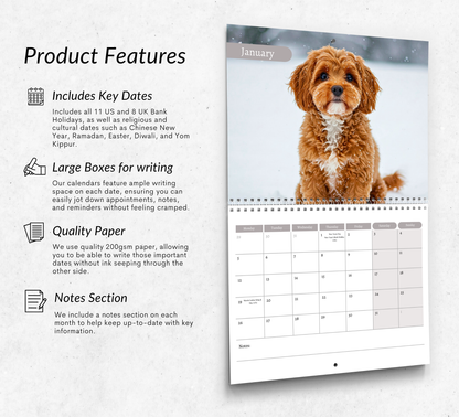 Cavapoo Calendar 2026