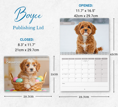 Cavapoo Calendar 2026