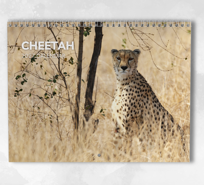 Cheetah Calendar 2027