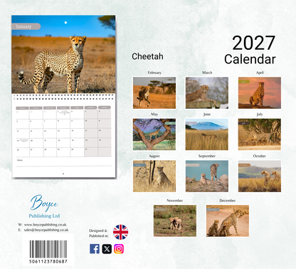 Cheetah Calendar 2027