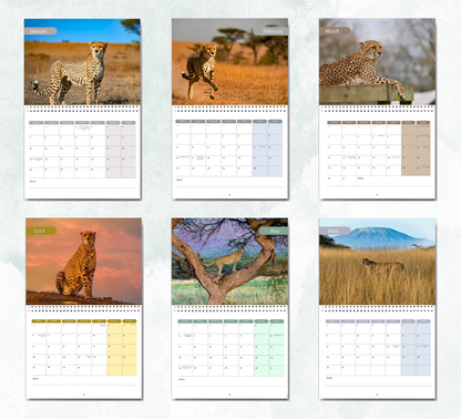 Cheetah Calendar 2027