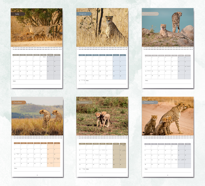Cheetah Calendar 2027