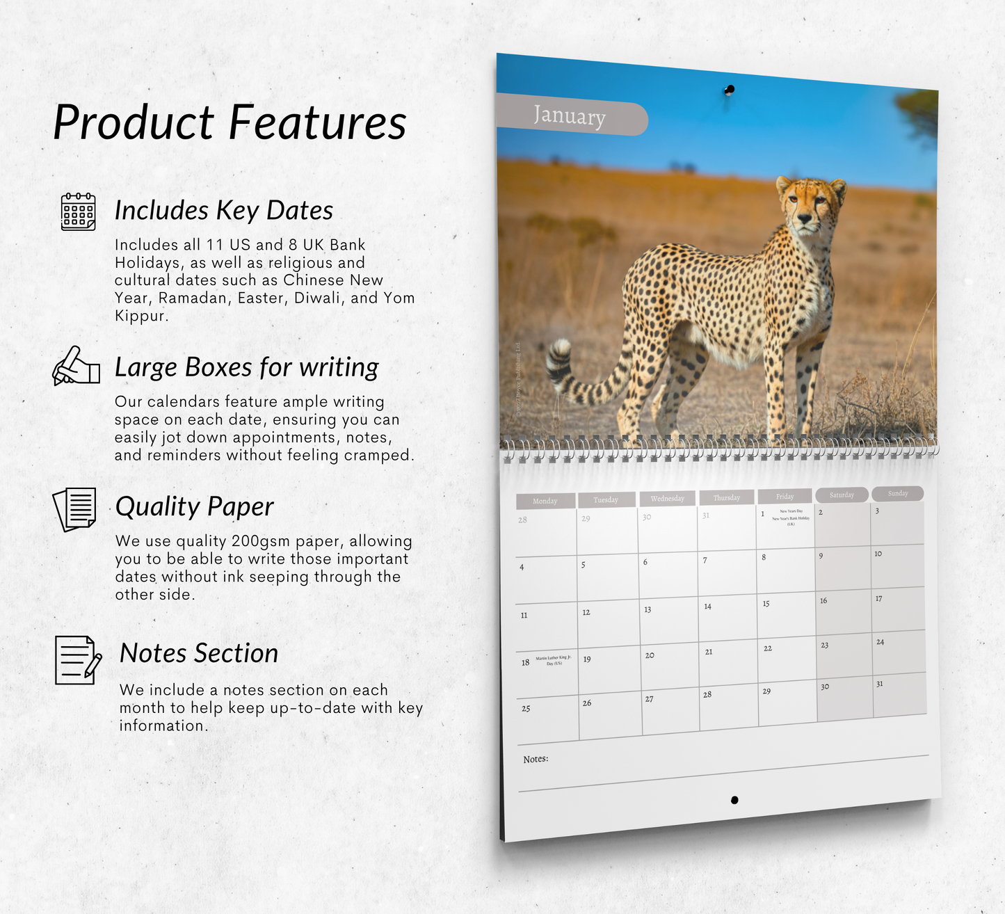 Cheetah Calendar 2027