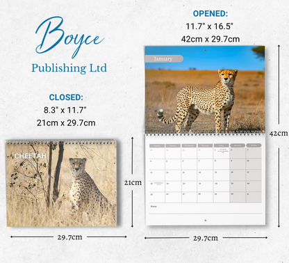 Cheetah Calendar 2027