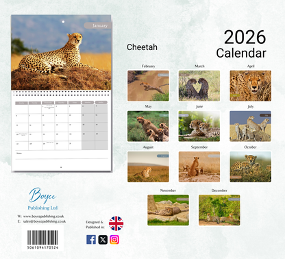 Cheetah Calendar 2026