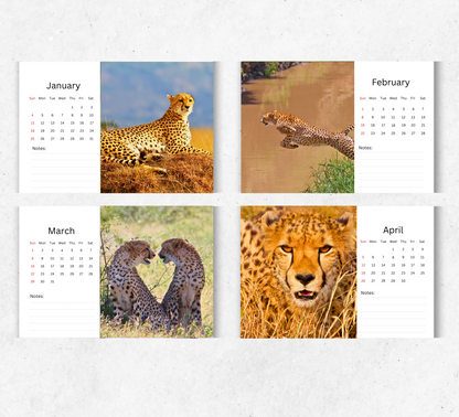 Cheetah Desk Calendar 2026-2027