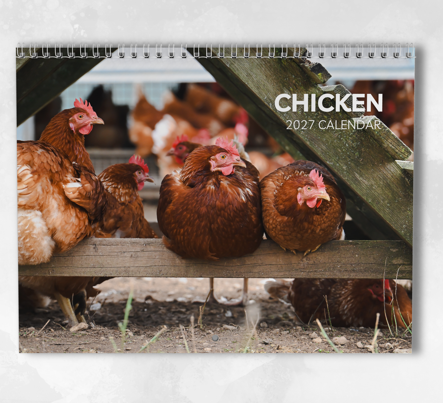 Chicken Calendar 2027
