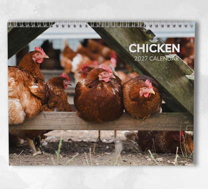 Chicken Calendar 2027