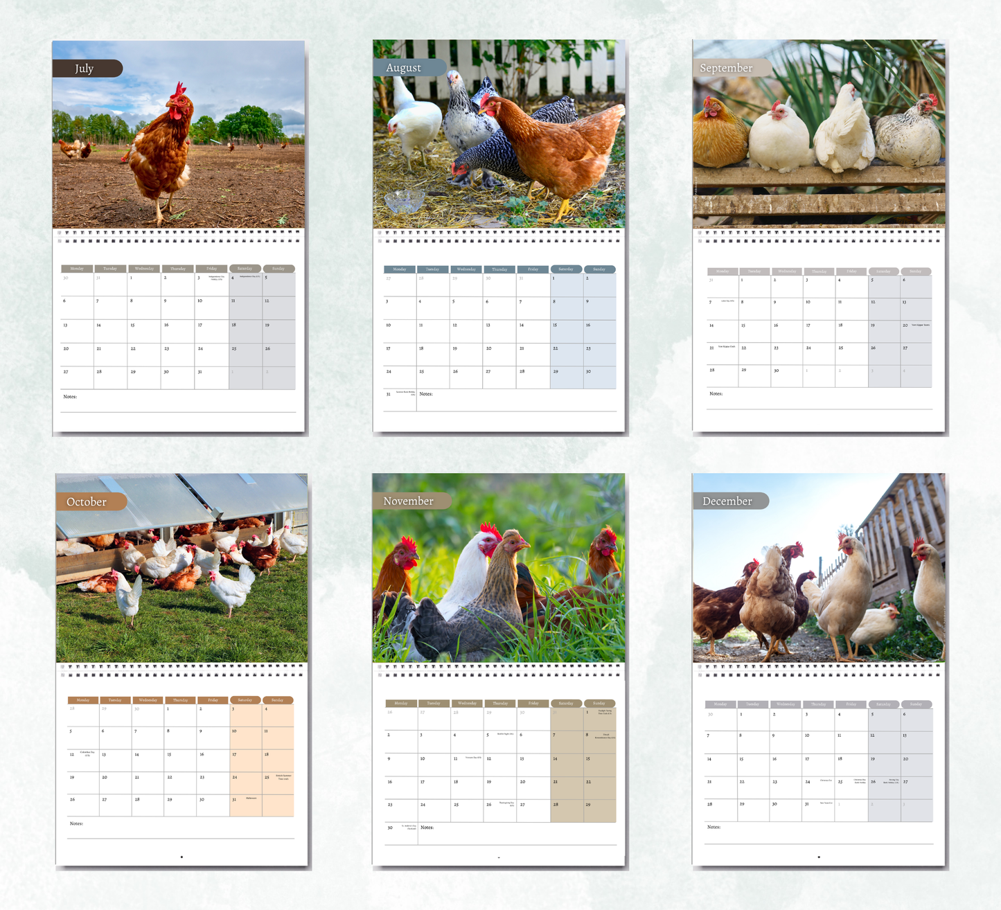 Chicken Calendar 2027