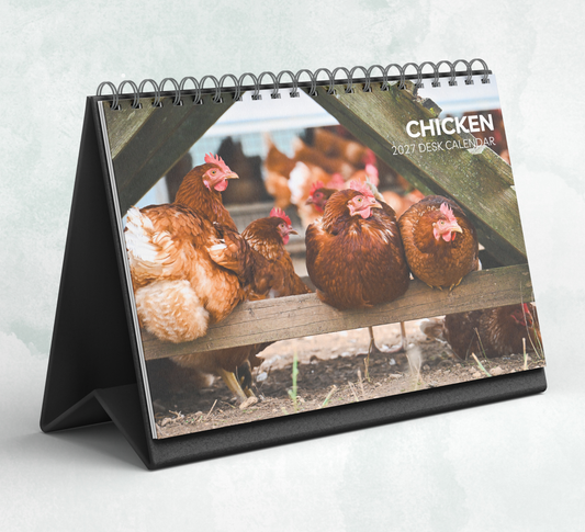 Chicken Desk Calendar 2027-2028