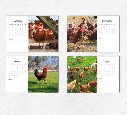 Chicken Desk Calendar 2027-2028
