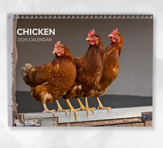 Chicken Calendar 2026
