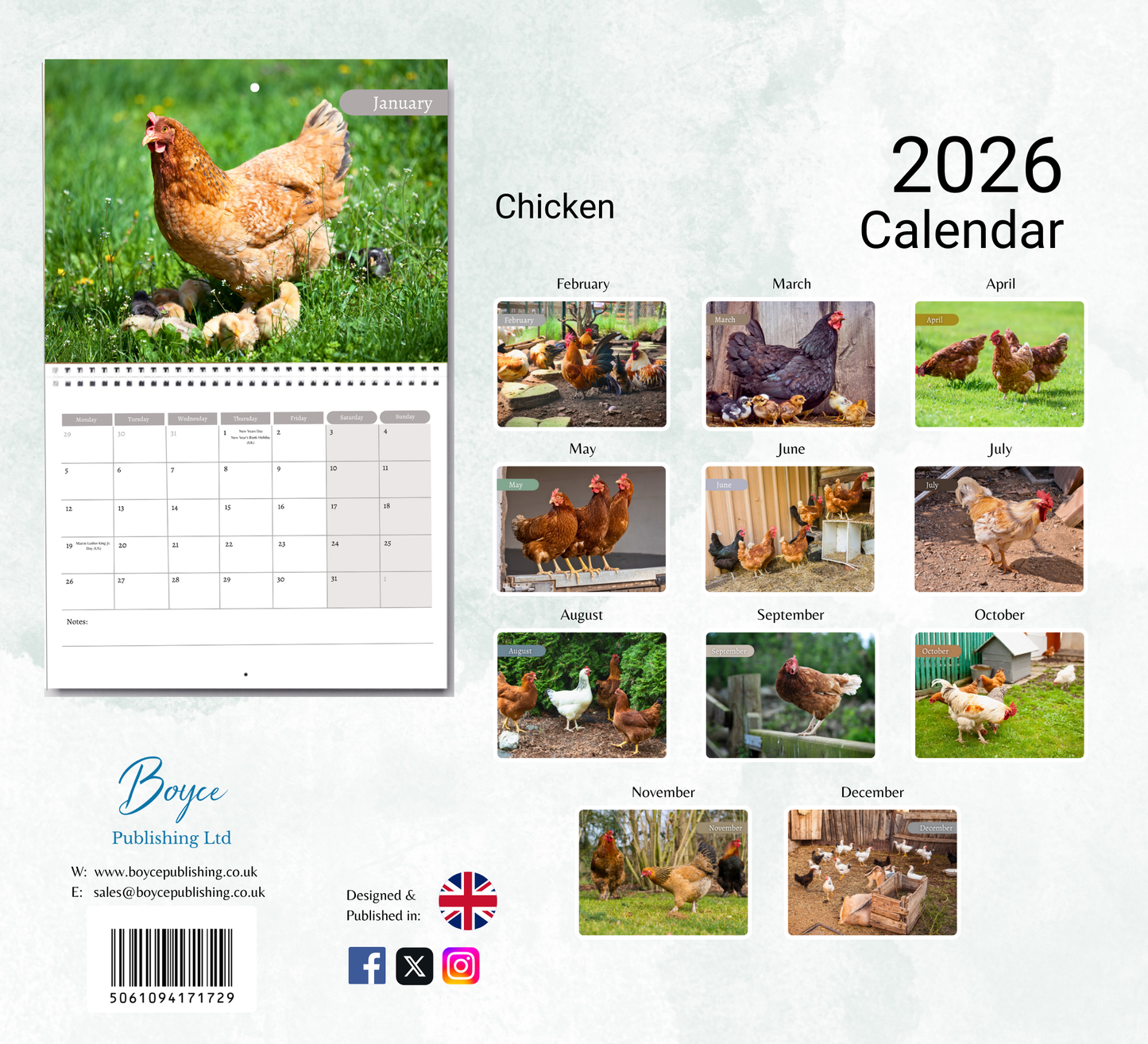 Chicken Calendar 2026