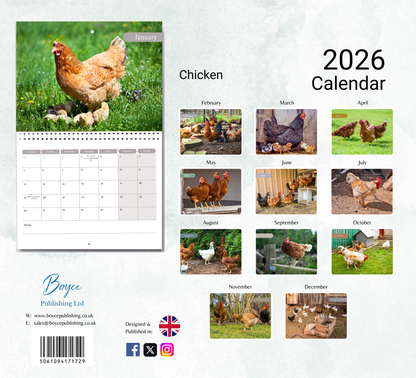 Chicken Calendar 2026
