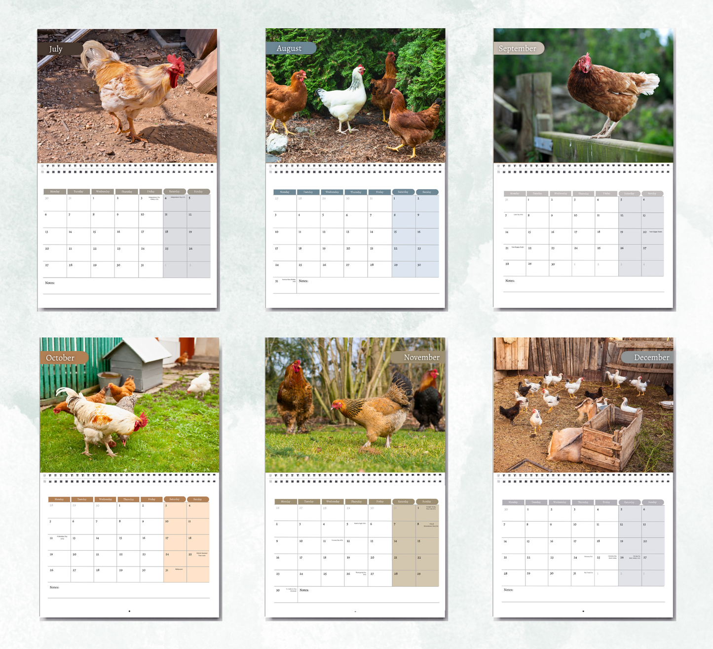 Chicken Calendar 2026