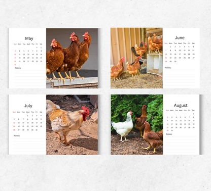 Chicken Desk Calendar 2026-2027