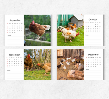 Chicken Desk Calendar 2026-2027