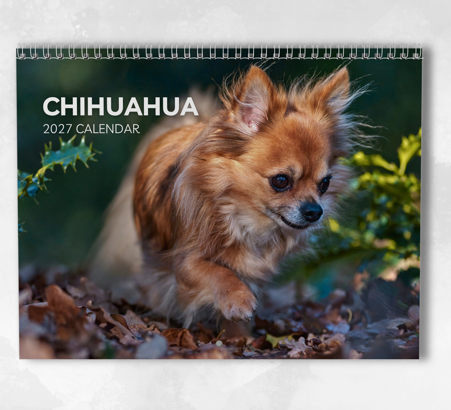 Chihuahua Calendar 2027