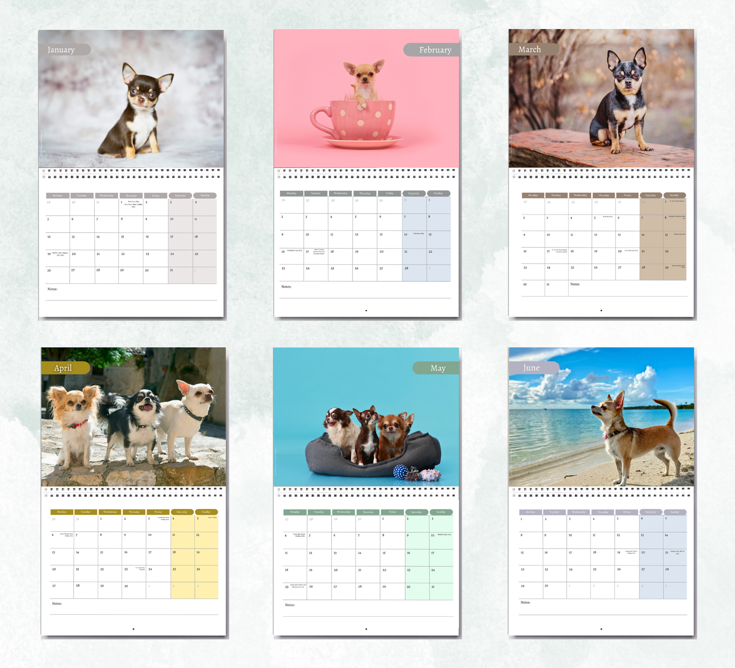 Chihuahua Calendar 2027