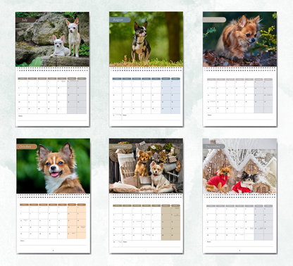 Chihuahua Calendar 2027