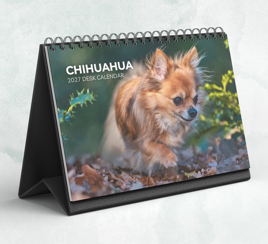 Chihuahua Desk Calendar 2027-2028