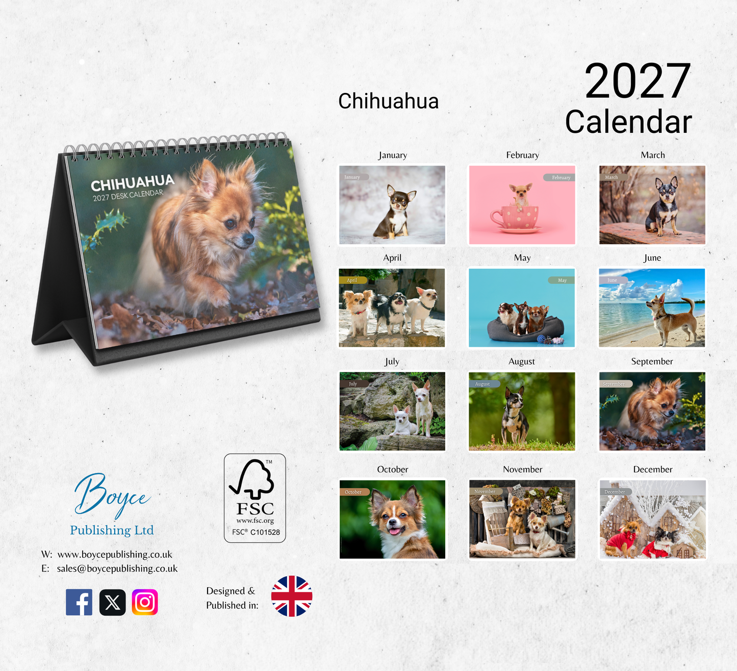 Chihuahua Desk Calendar 2027-2028