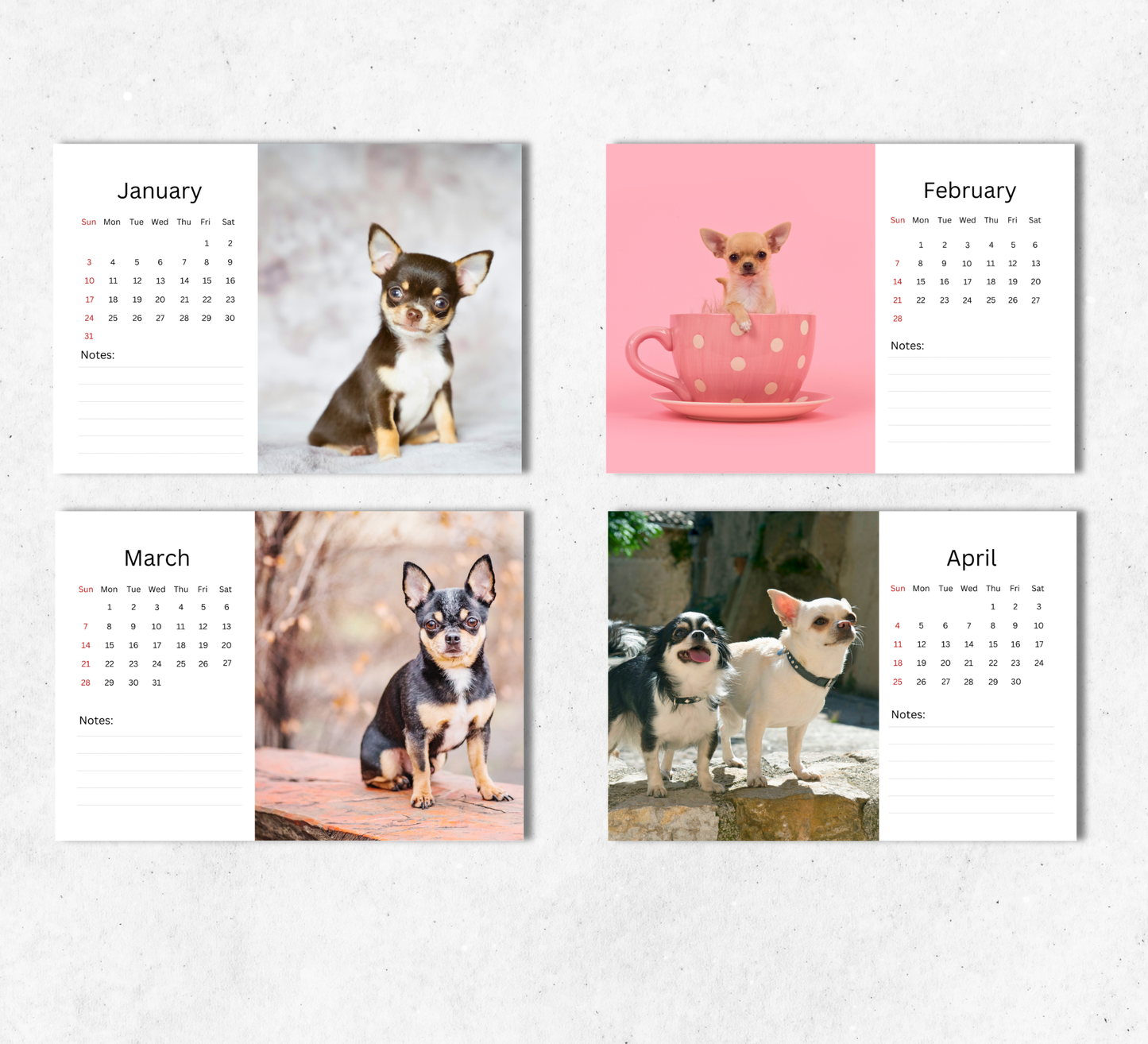 Chihuahua Desk Calendar 2027-2028