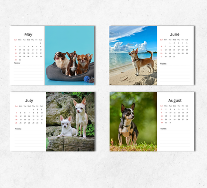 Chihuahua Desk Calendar 2027-2028
