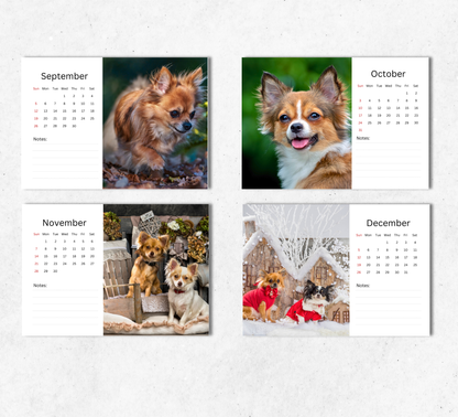 Chihuahua Desk Calendar 2027-2028