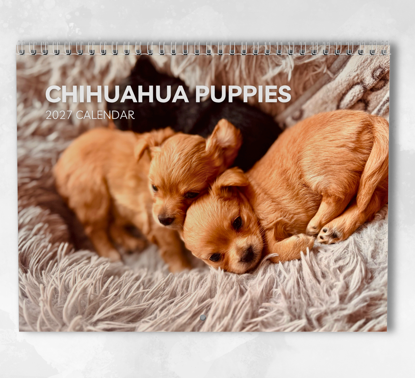 Chihuahua Puppies Calendar 2027