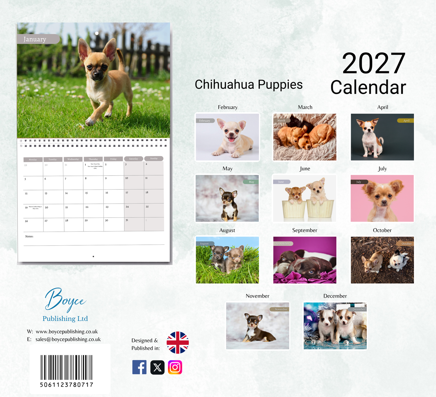 Chihuahua Puppies Calendar 2027