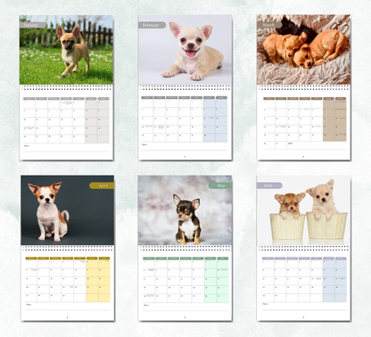 Chihuahua Puppies Calendar 2027