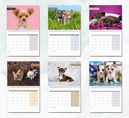 Chihuahua Puppies Calendar 2027