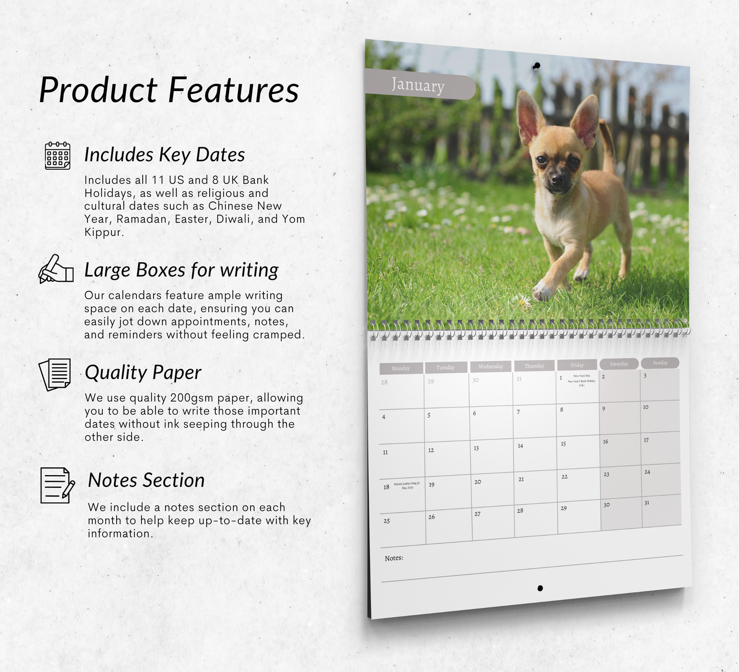 Chihuahua Puppies Calendar 2027