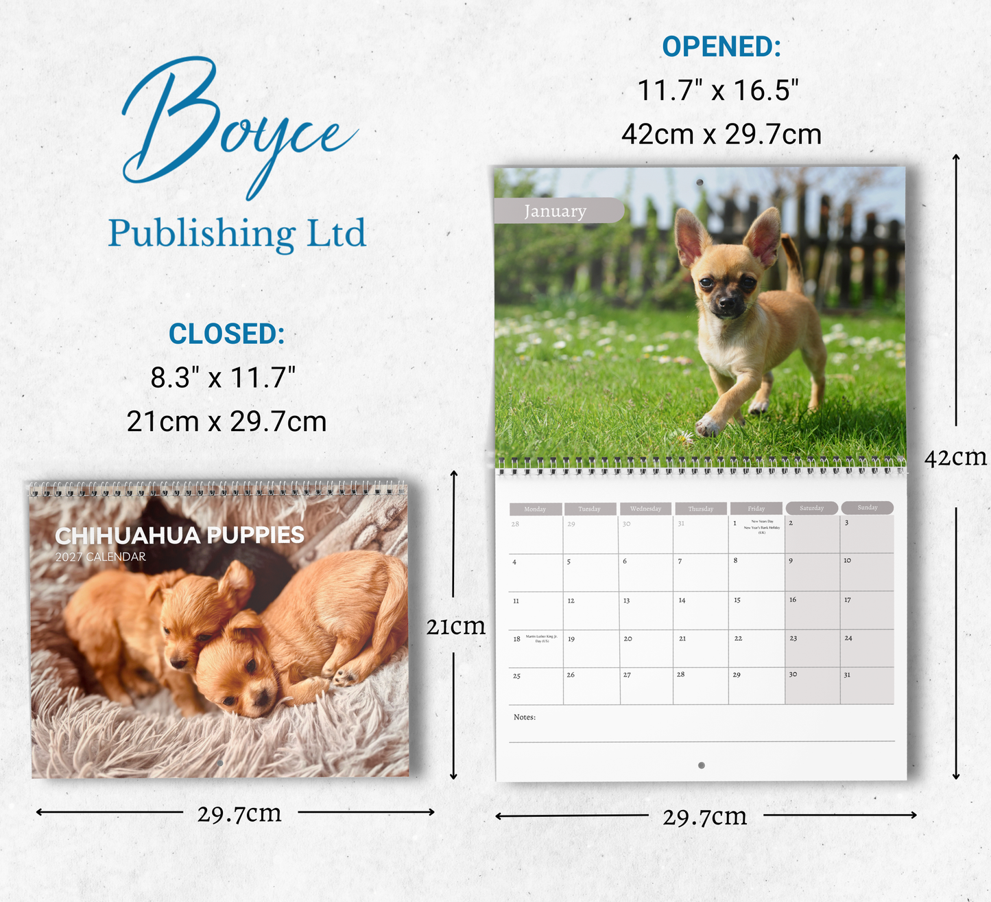 Chihuahua Puppies Calendar 2027