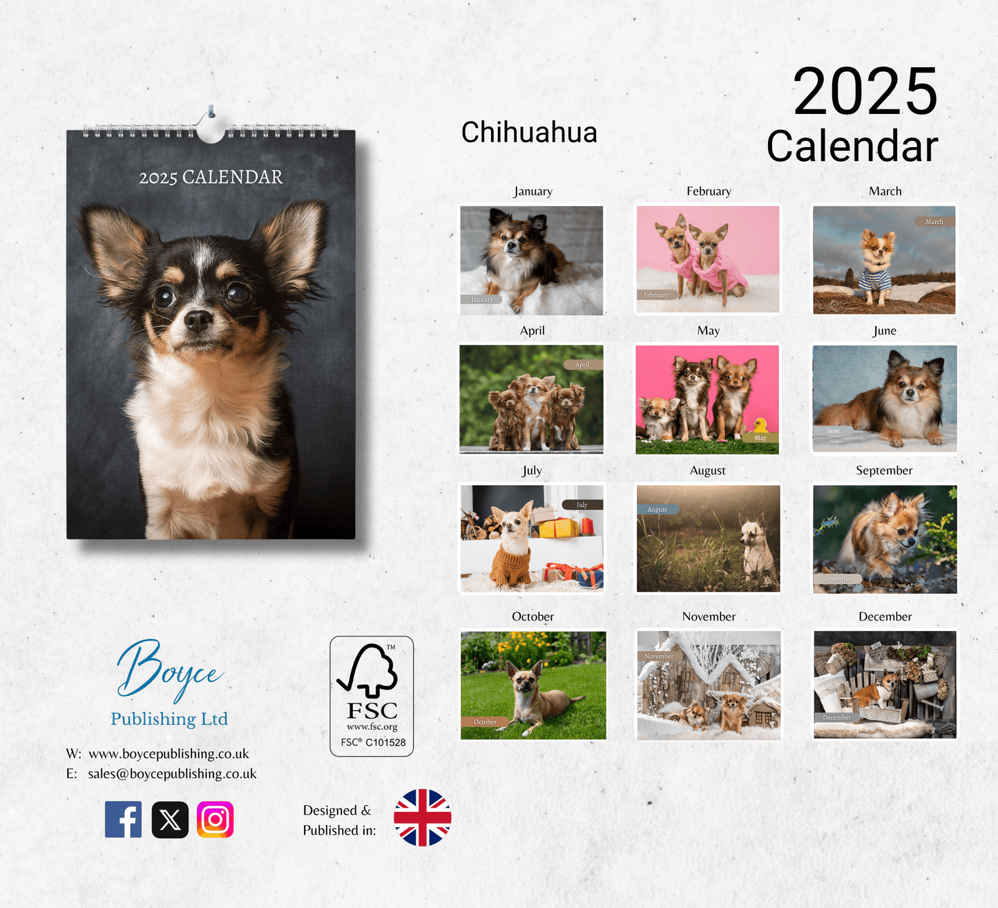 Chihuahua Calendar 2025