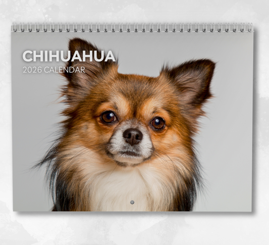 Chihuahua Calendar 2026