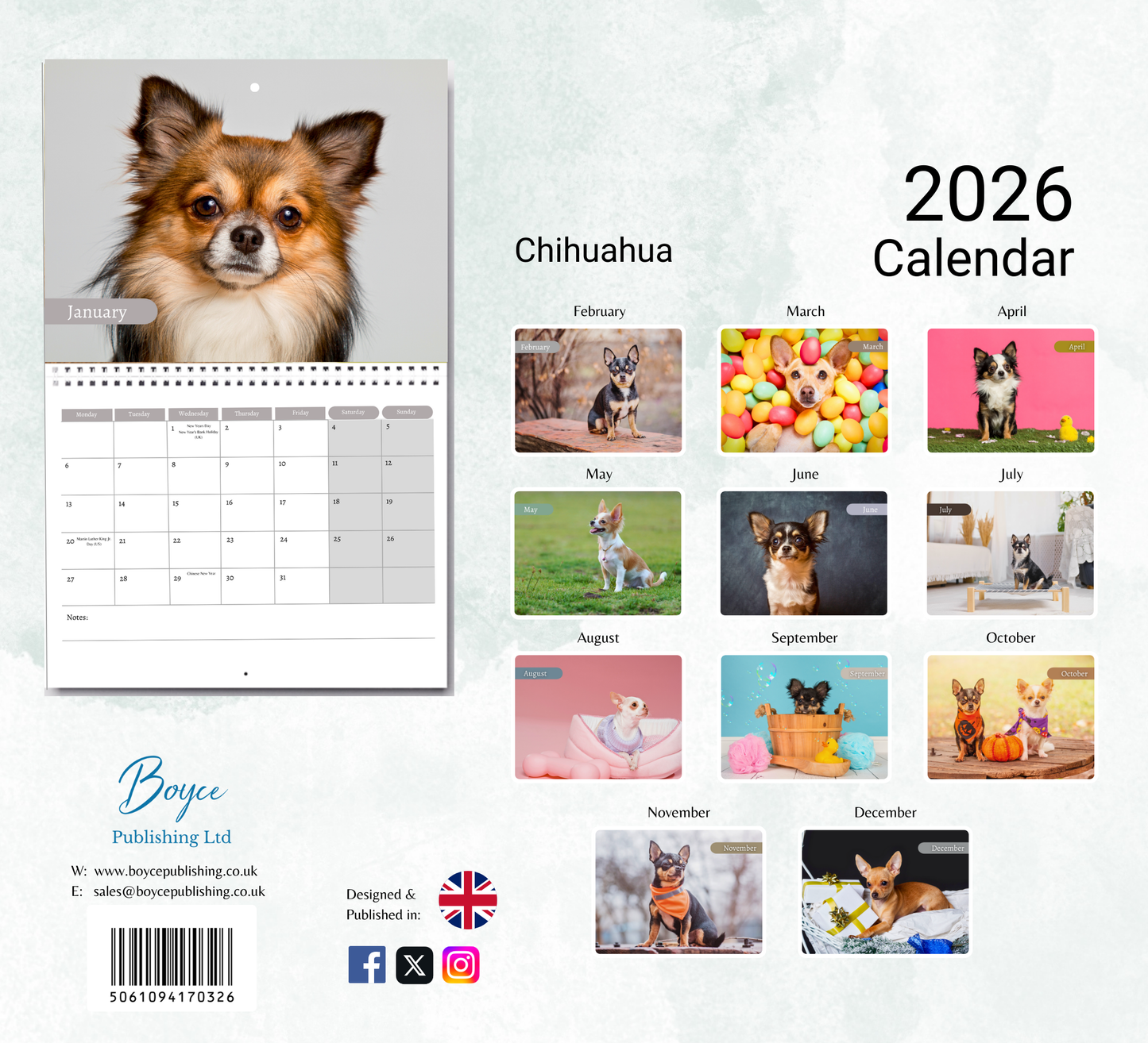 Chihuahua Calendar 2026
