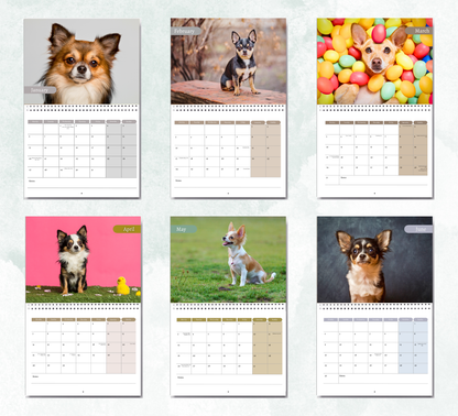 Chihuahua Calendar 2026
