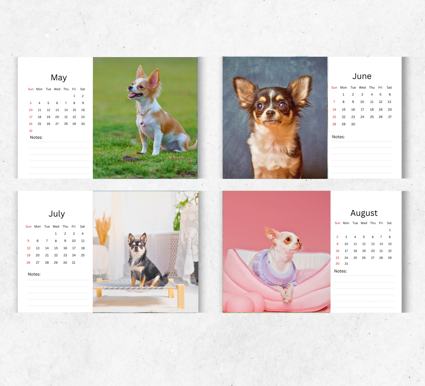 Chihuahua Desk Calendar 2026-2027