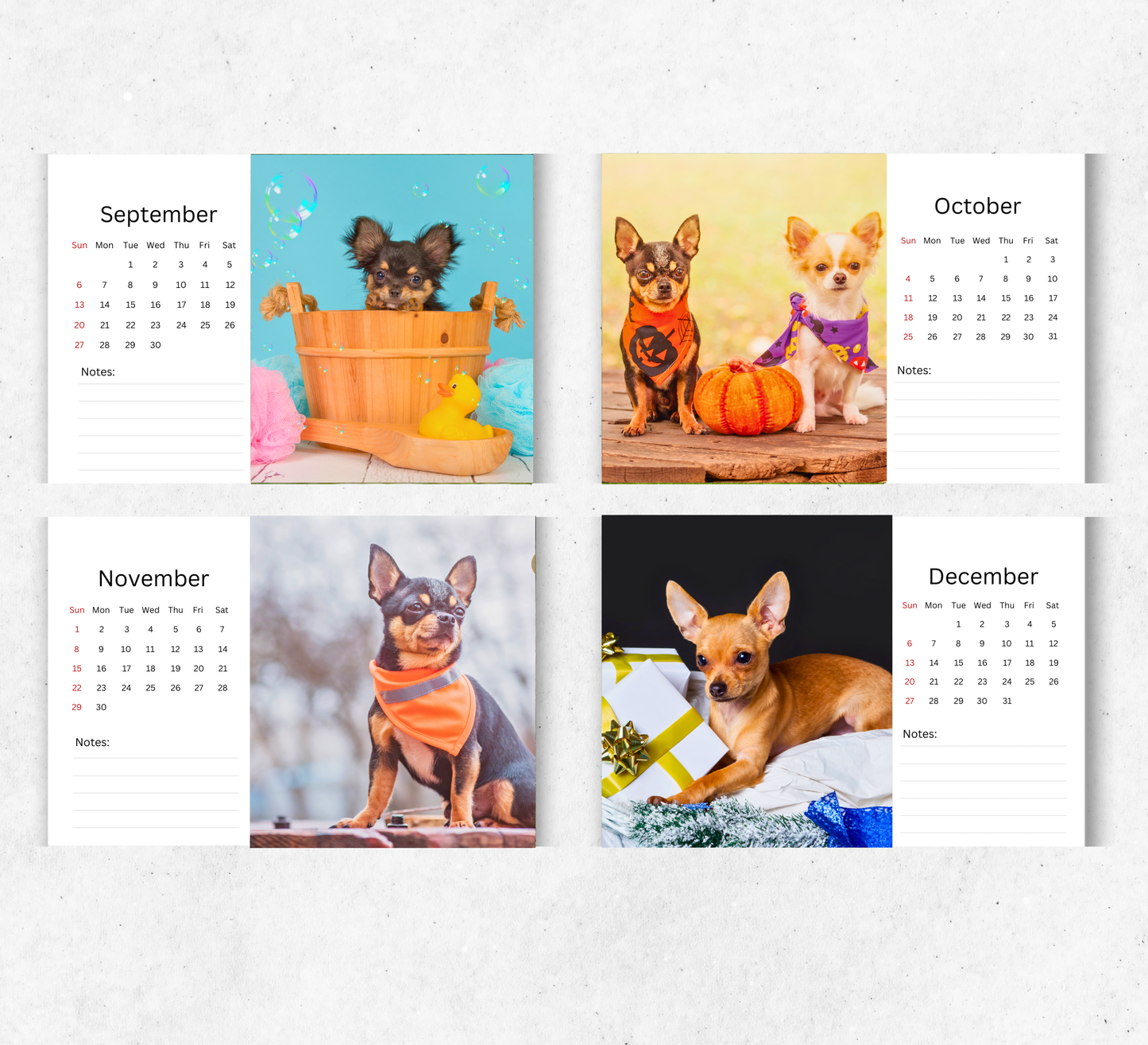 Chihuahua Desk Calendar 2026-2027