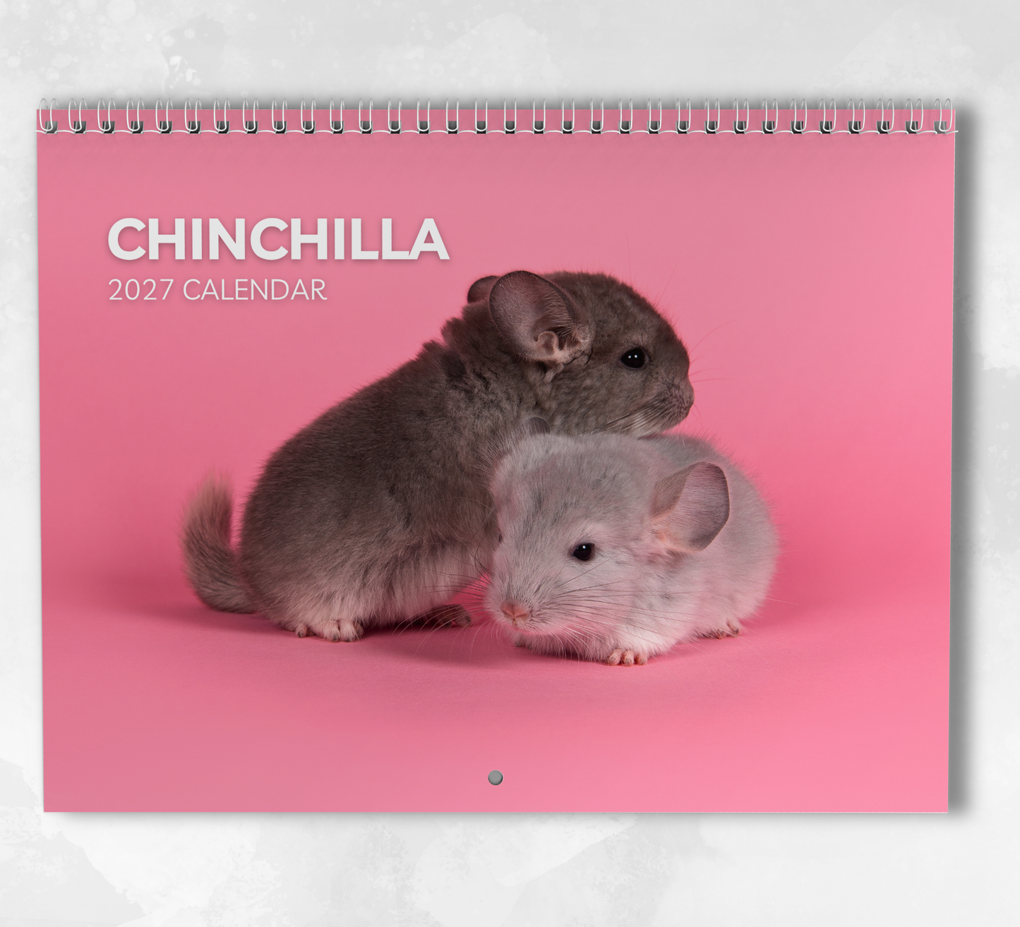 Chinchilla Calendar 2027