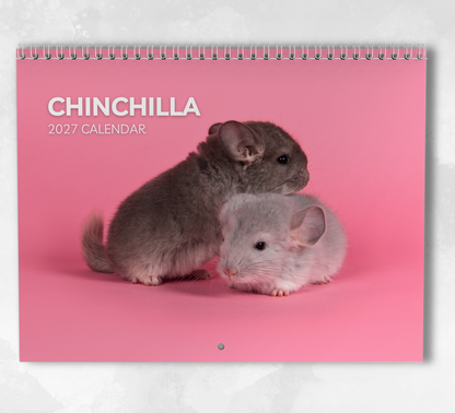 Chinchilla Calendar 2027