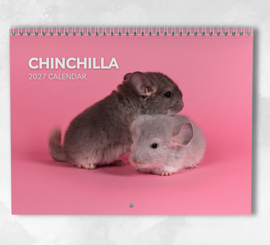 Chinchilla Calendar 2027