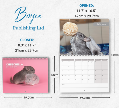 Chinchilla Calendar 2027