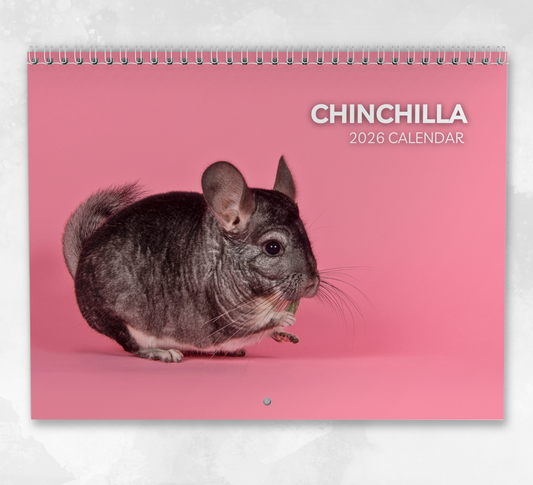 Chinchilla Calendar 2026