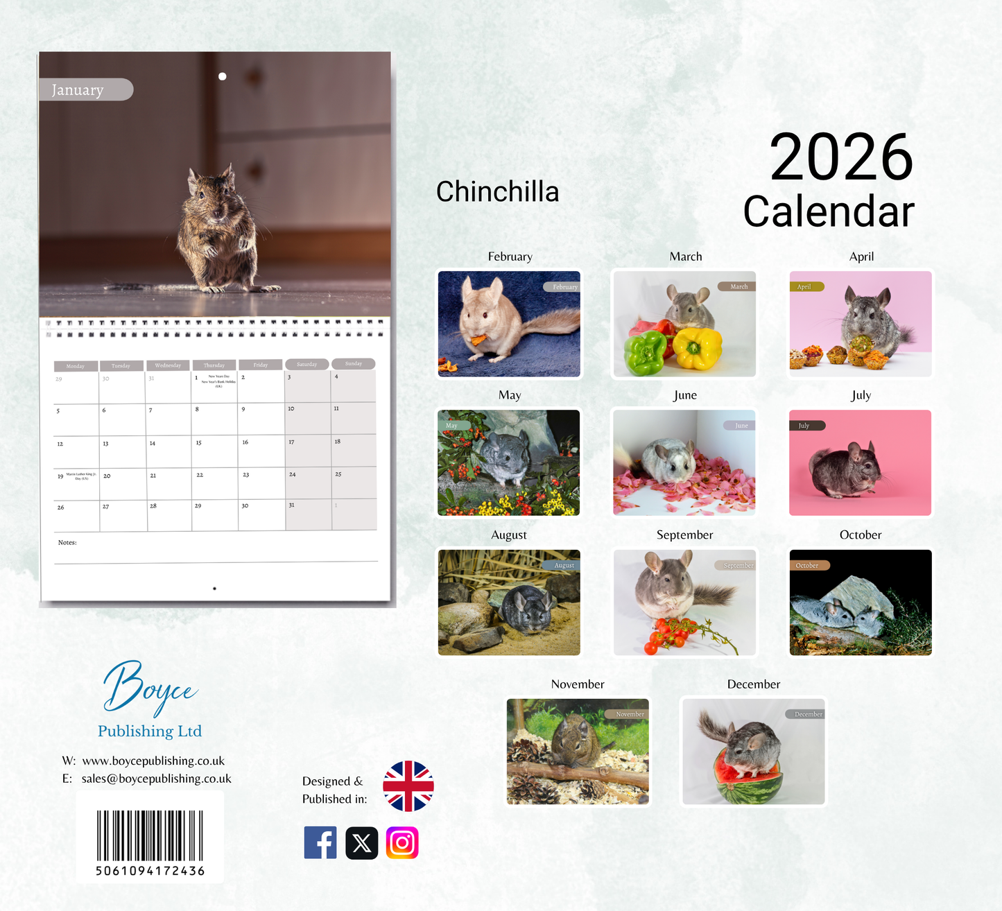 Chinchilla Calendar 2026
