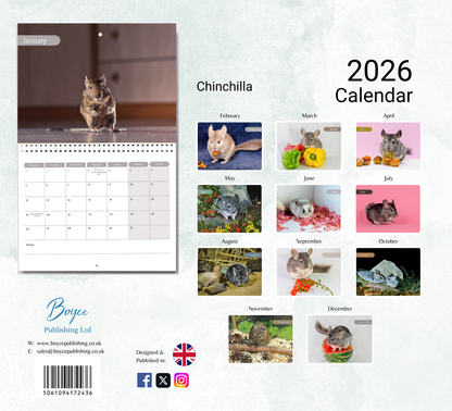 Chinchilla Calendar 2026