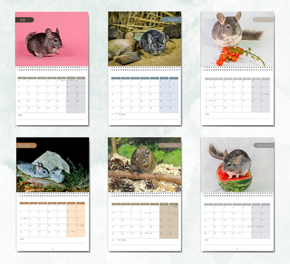 Chinchilla Calendar 2026