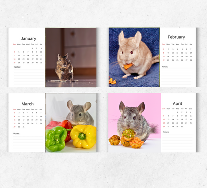 Chinchilla Desk Calendar 2026-2027